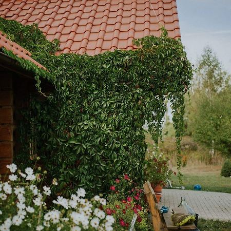 Dom Goscinny Sowia Stopka Miłomłyn Esterno foto