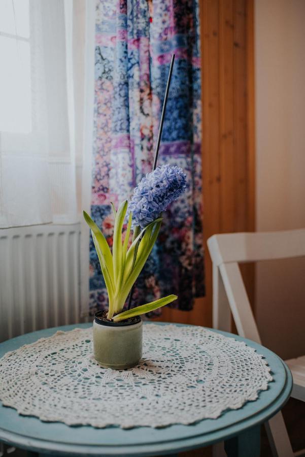 Dom Goscinny Sowia Stopka Miłomłyn Esterno foto