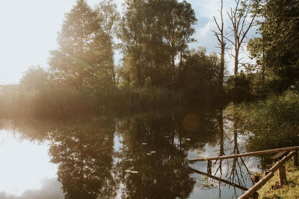 Dom Goscinny Sowia Stopka Miłomłyn Esterno foto