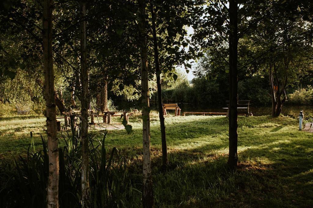 Dom Goscinny Sowia Stopka Miłomłyn Esterno foto
