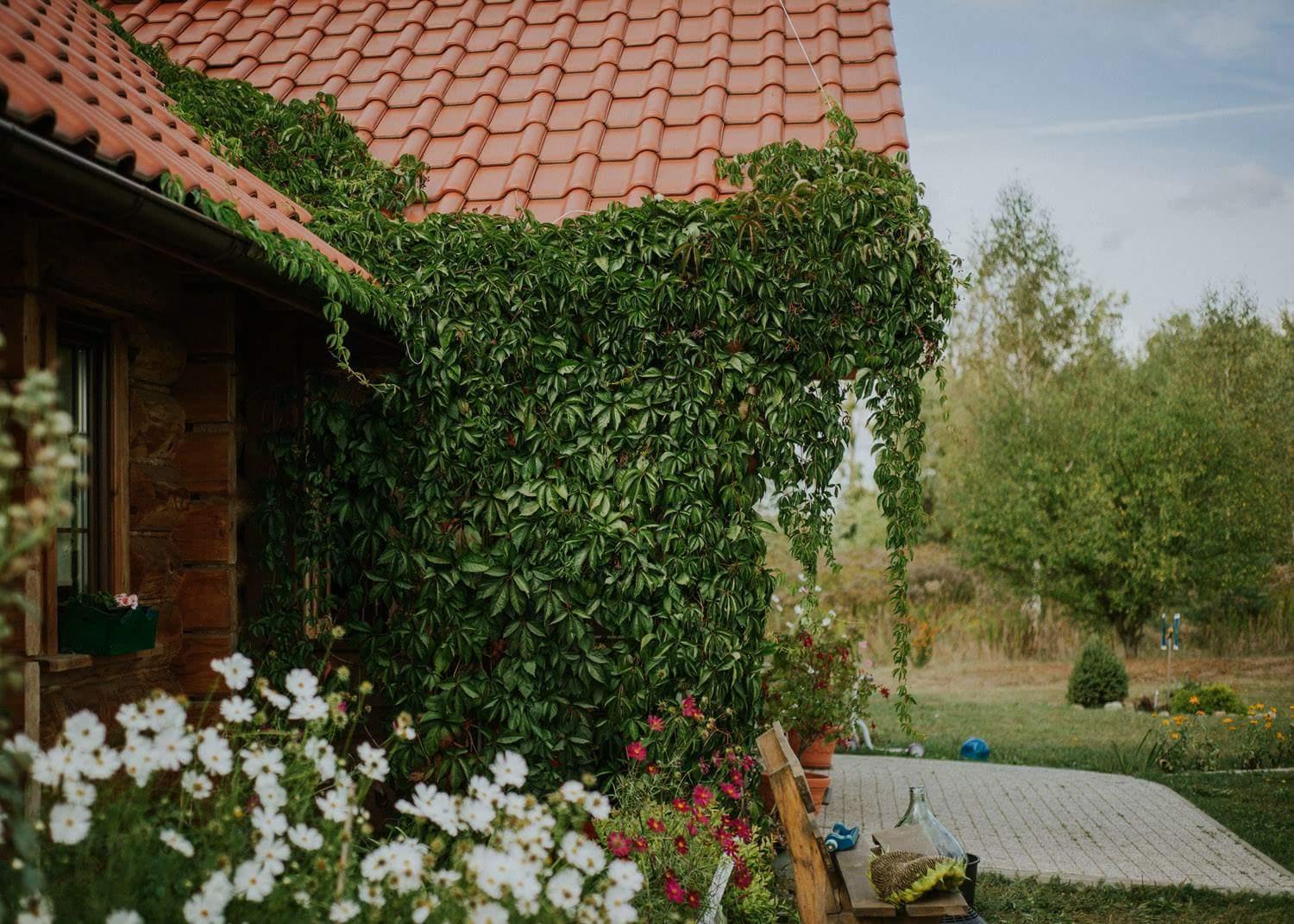 Dom Goscinny Sowia Stopka Miłomłyn Esterno foto